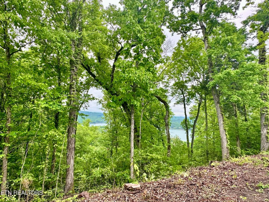 Photo of 731 Russell Brothers Rd, Sharps Chapel, TN 37866 (MLS # 1327626)