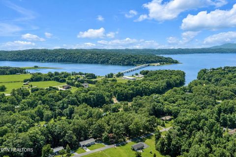 Tiny photo for 322 Idlewild Drive, White Pine, TN 37890 (MLS # 1343052)