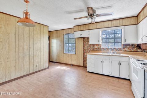 Tiny photo for 322 Idlewild Drive, White Pine, TN 37890 (MLS # 1343052)