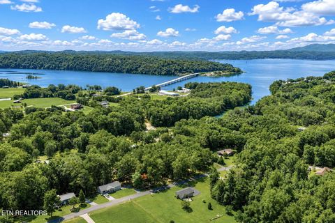 Tiny photo for 322 Idlewild Drive, White Pine, TN 37890 (MLS # 1343052)
