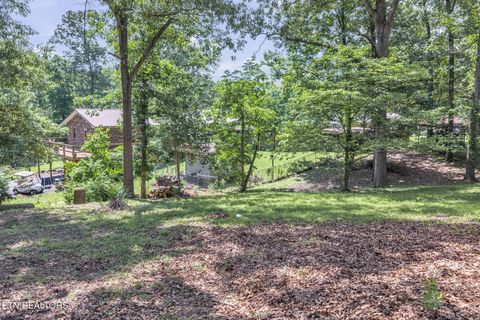 Tiny photo for 322 Idlewild Drive, White Pine, TN 37890 (MLS # 1343052)