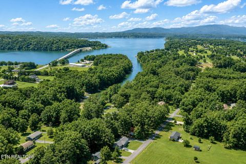 Tiny photo for 322 Idlewild Drive, White Pine, TN 37890 (MLS # 1343052)