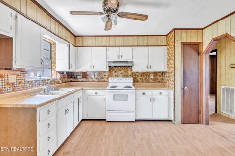 Tiny photo for 322 Idlewild Drive, White Pine, TN 37890 (MLS # 1343052)