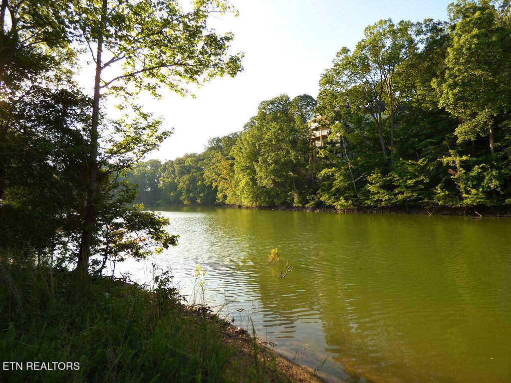 Photo of 57 Sunset Harbor Drive, Dandridge, TN 37725 (MLS # 1296375)