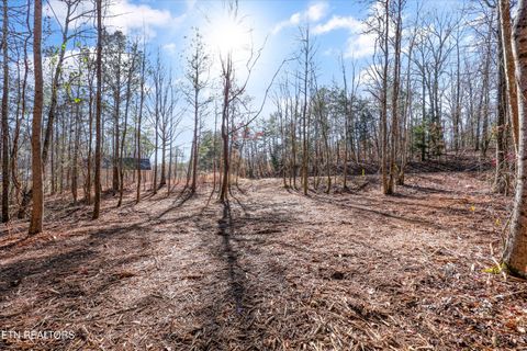 Tiny photo for Sunrise Lane, Decatur, TN 37322 (MLS # 1335831)