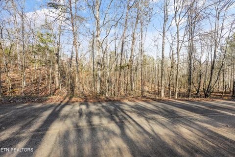 Tiny photo for Sunrise Lane, Decatur, TN 37322 (MLS # 1335831)