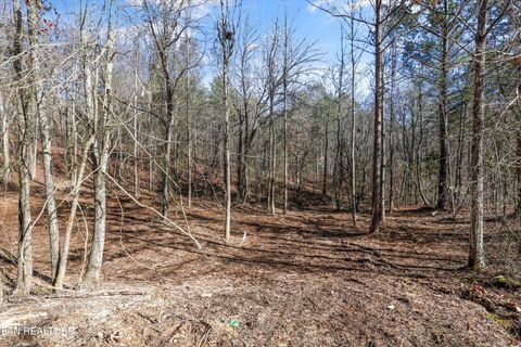 Tiny photo for Sunrise Lane, Decatur, TN 37322 (MLS # 1335831)