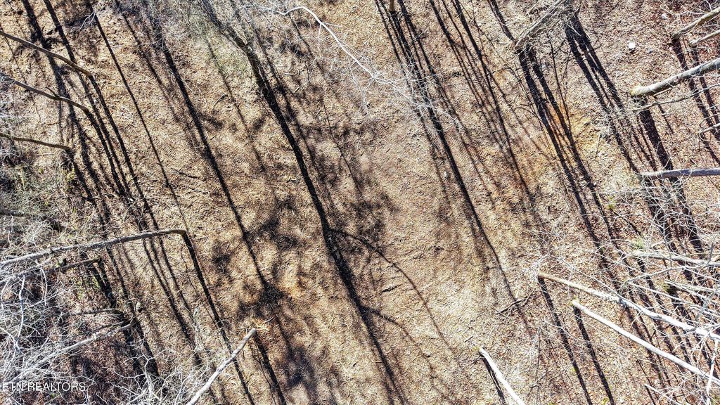 Photo of Sunrise Lane, Decatur, TN 37322 (MLS # 1335831)