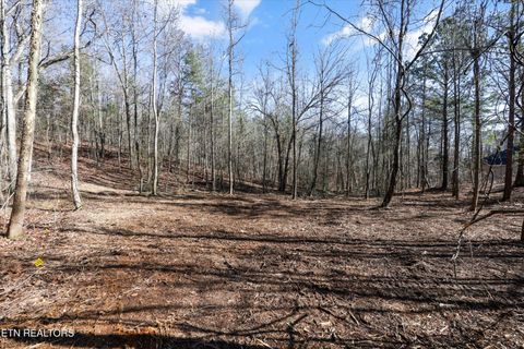 Photo of Sunrise Lane, Decatur, TN 37322 (MLS # 1335831)