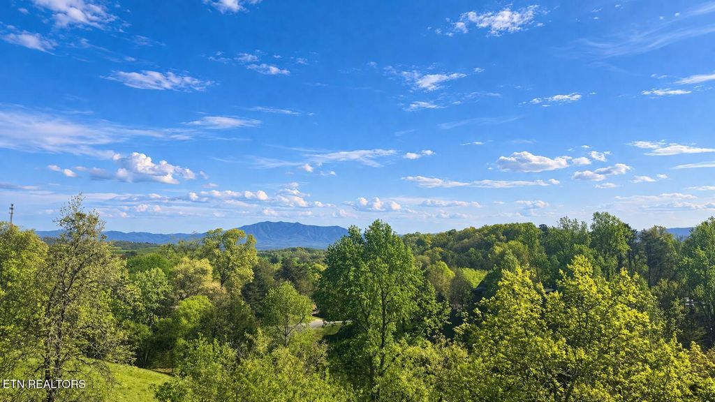 Photo of 1636 Jed Tr, Sevierville, TN 37862 (MLS # 1336384)