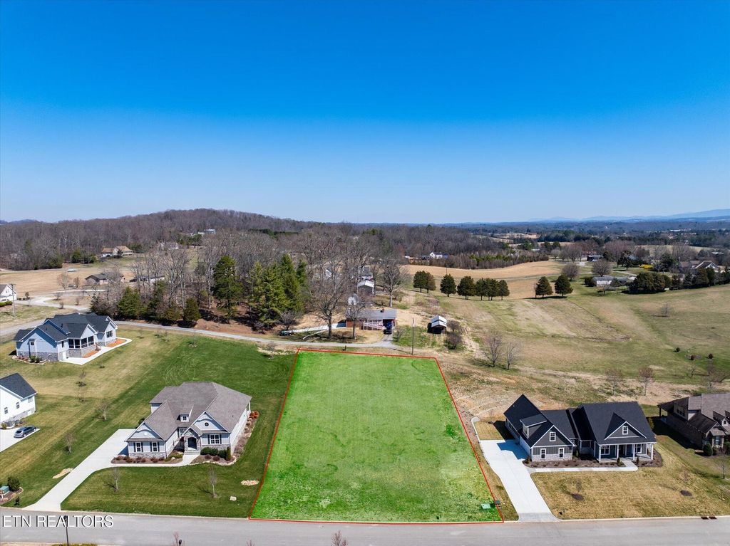 Photo of 175 Morganton Cove, Greenback, TN 37742 (MLS # 1281838)
