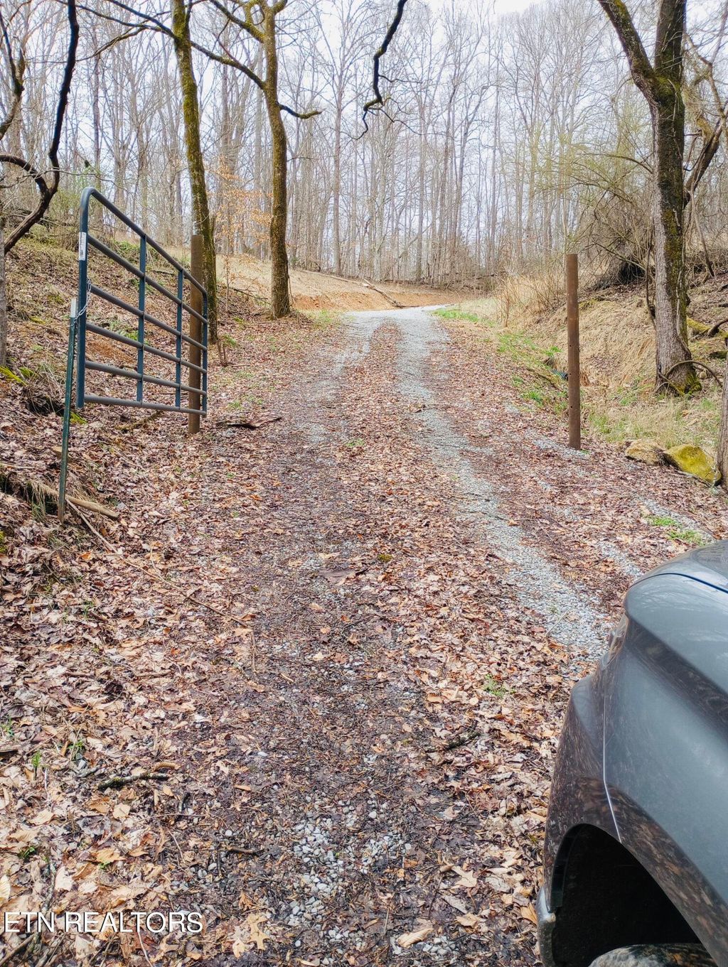 Photo of 00 Bear Creek Rd, New Tazewell, TN 37825 (MLS # 1255146)