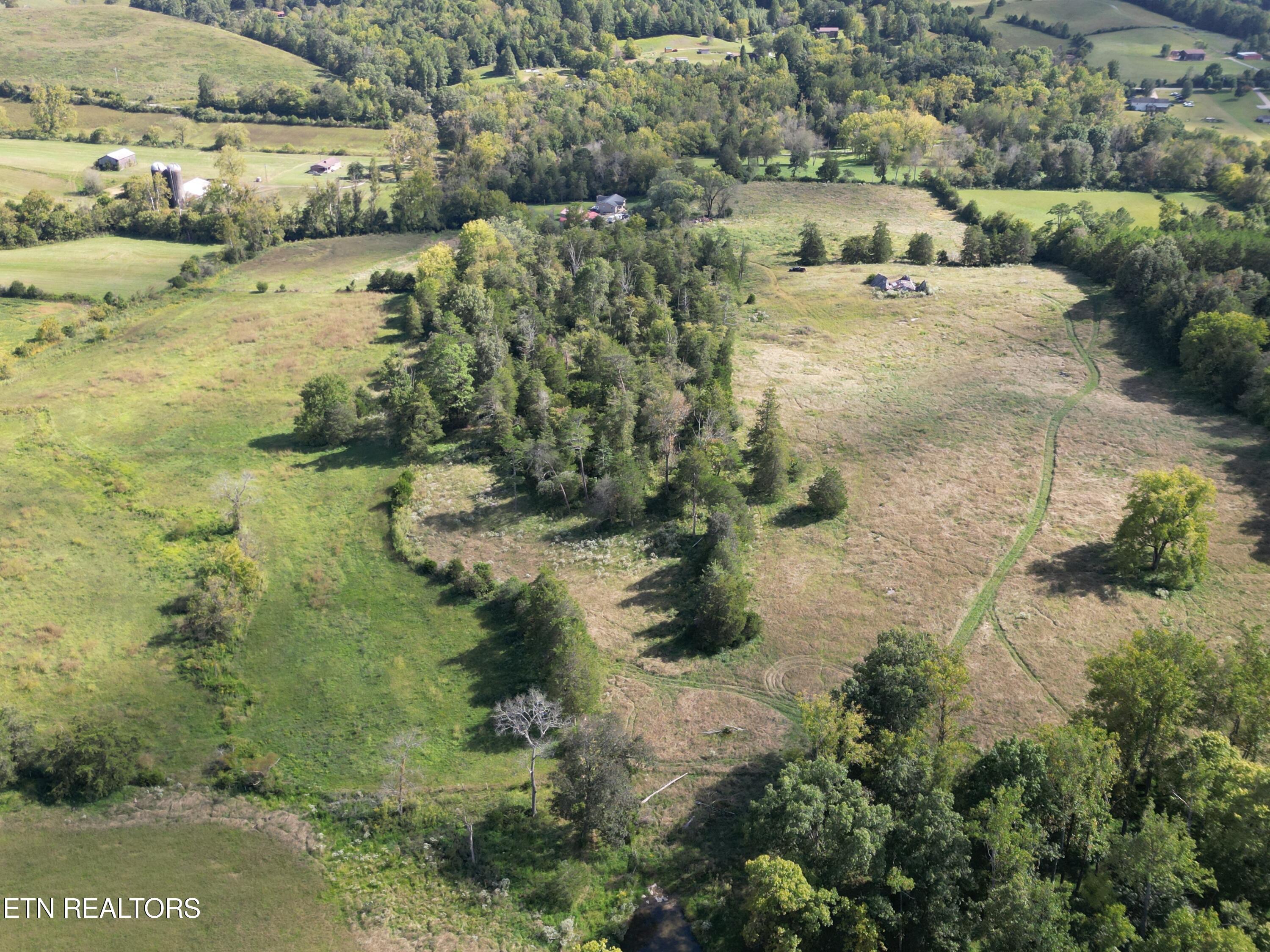 317 Singleton Hollow Rd