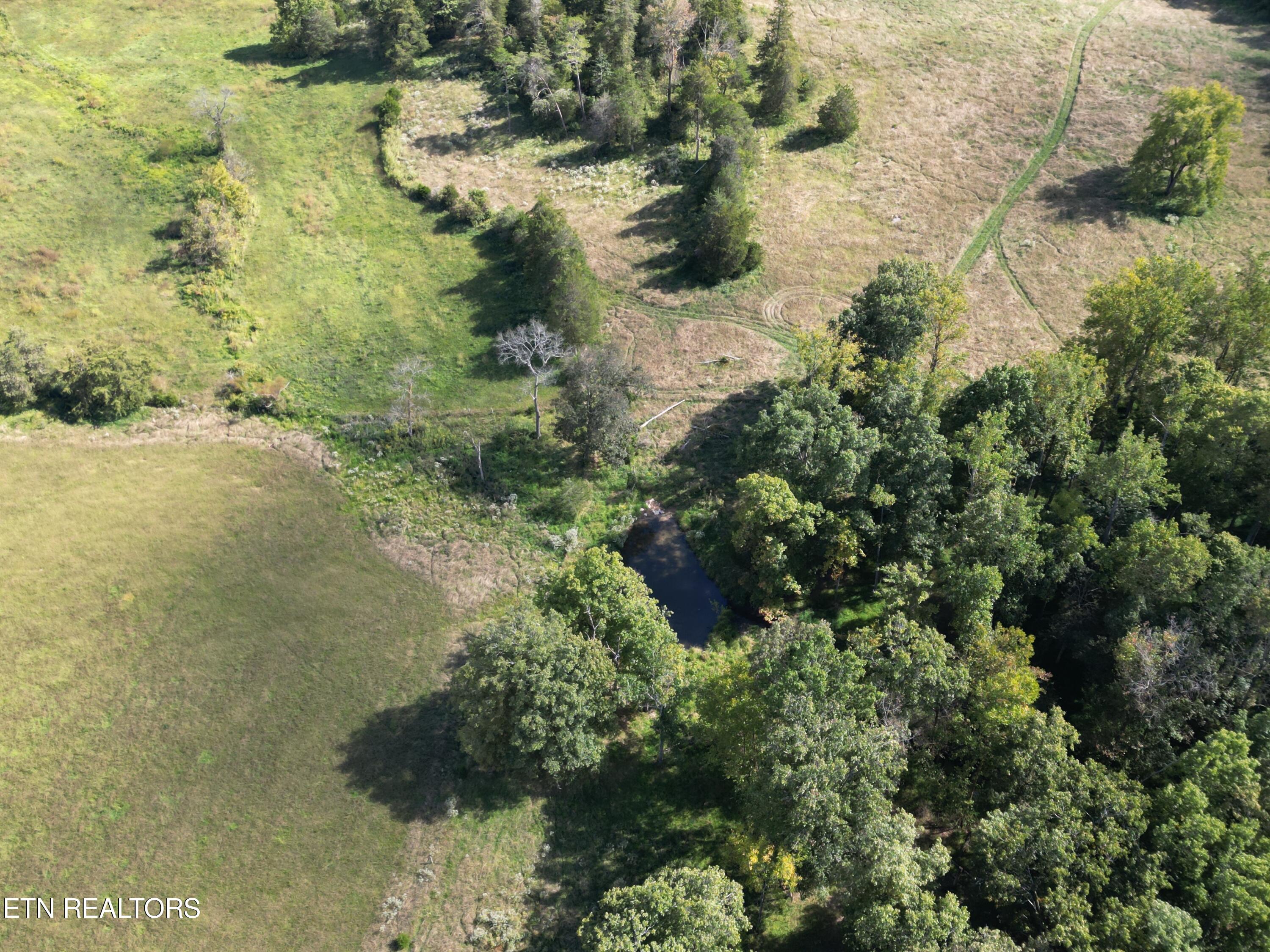 317 Singleton Hollow Rd