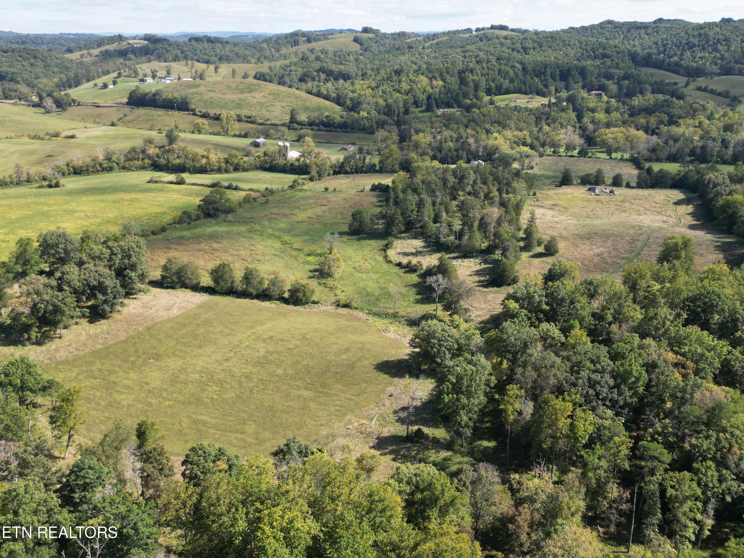 317 Singleton Hollow Rd
