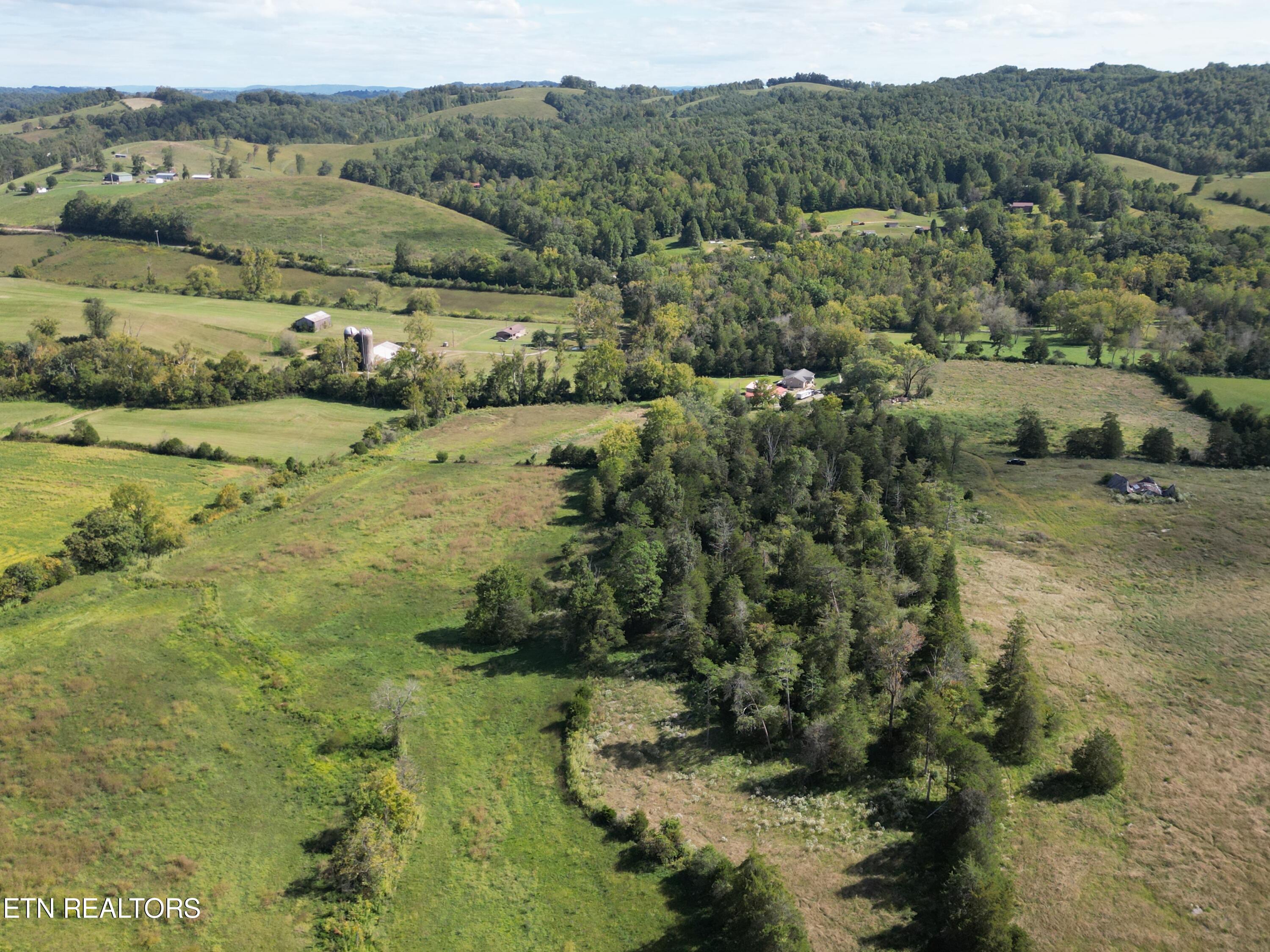 317 Singleton Hollow Rd