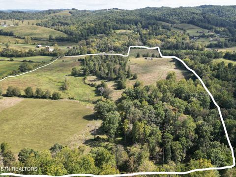317 Singleton Hollow Rd Speedwell TN 37870
