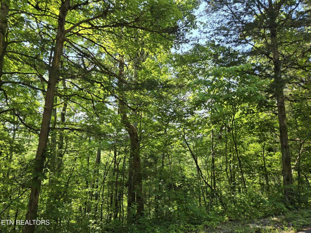Photo of Log Mountain Rd, Washburn, TN 37888 (MLS # 1343902)