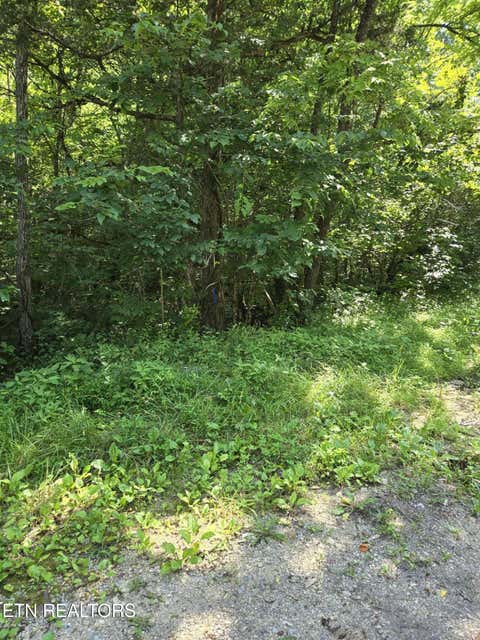 Tiny photo for Log Mountain Rd, Washburn, TN 37888 (MLS # 1343902)