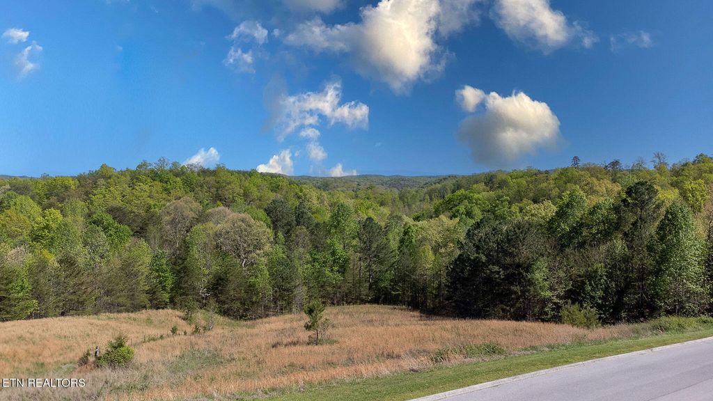 Photo of 106 Highland Reserve Way, Kingston, TN 37763 (MLS # 1298697)