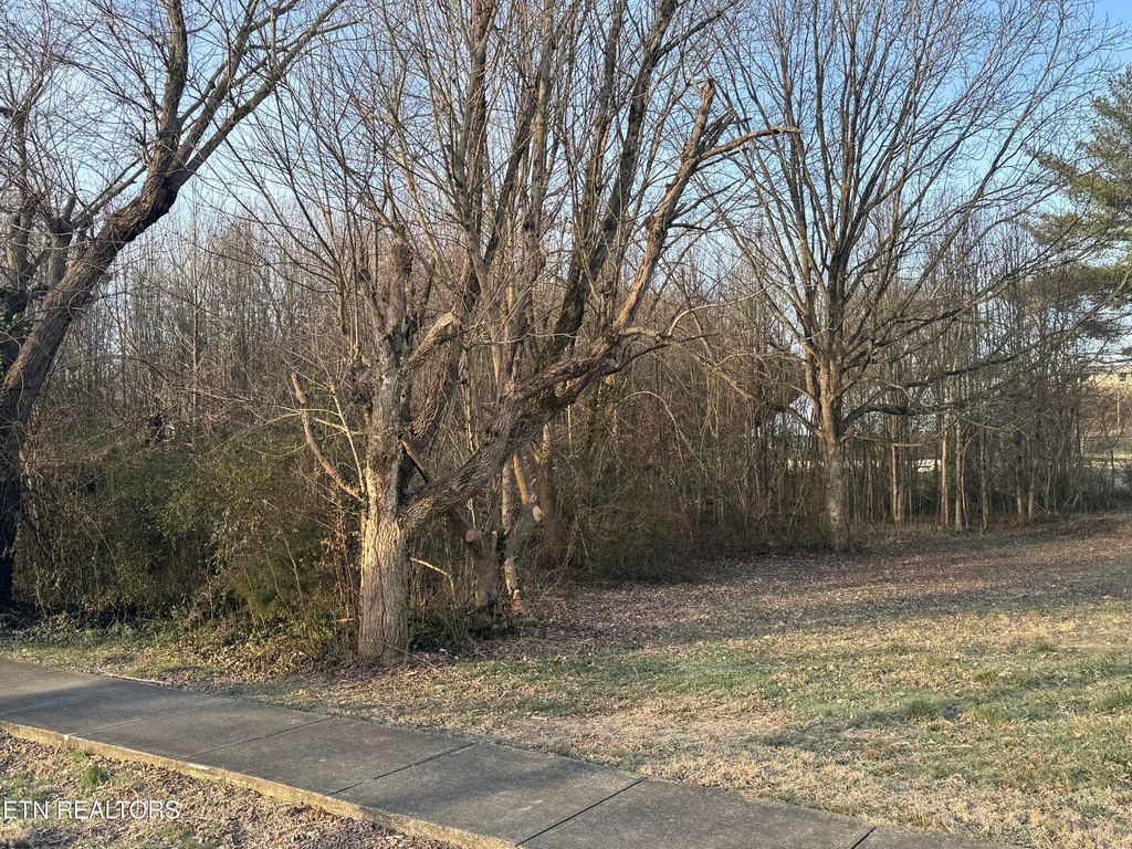 Photo of 211 Babcock St, Tellico Plains, TN 37385 (MLS # 1327141)