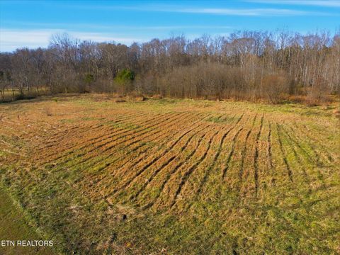Tiny photo for 418 County Road 61, Riceville, TN 37370 (MLS # 1324233)