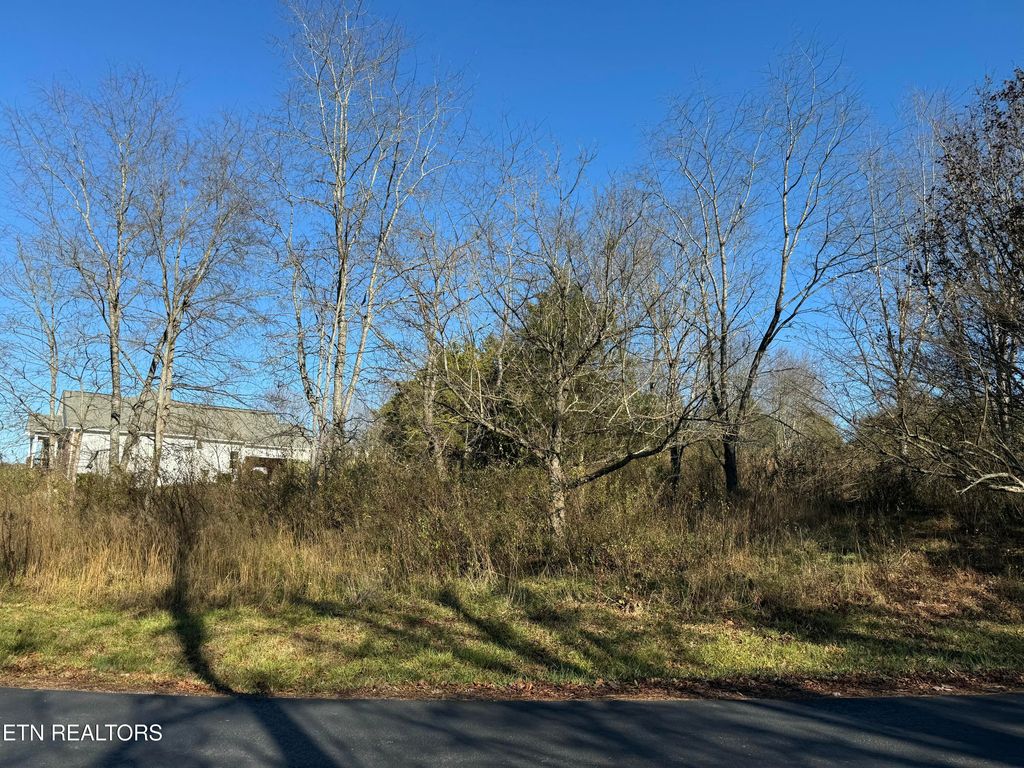 Photo of Ganega Tr, Vonore, TN 37885 (MLS # 1284753)