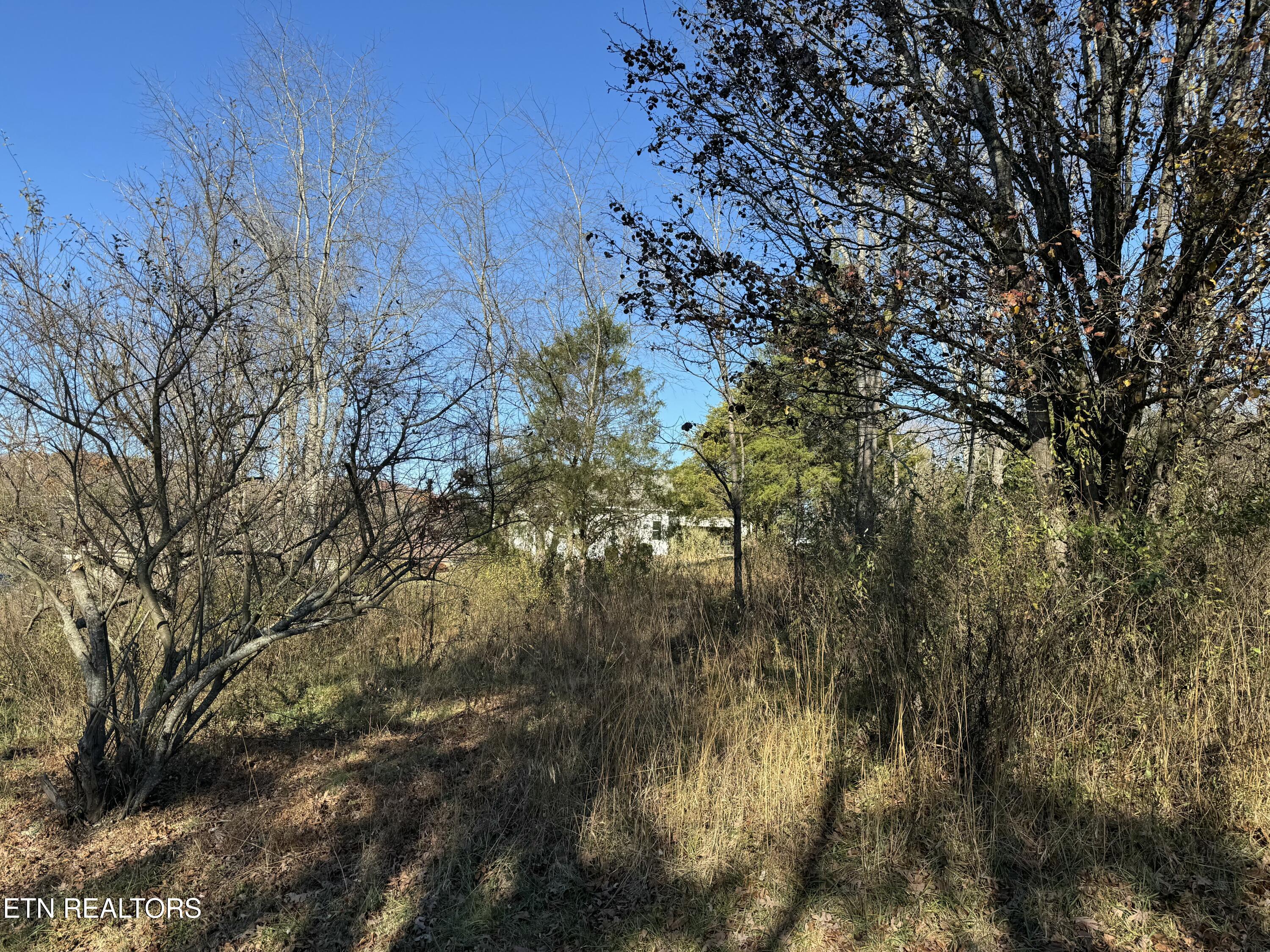 Vonore, Tennessee 37885, United States, ,Land,Active,26888