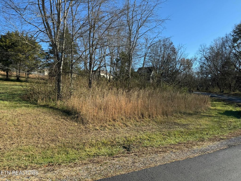 Photo of Ganega Tr, Vonore, TN 37885 (MLS # 1284753)