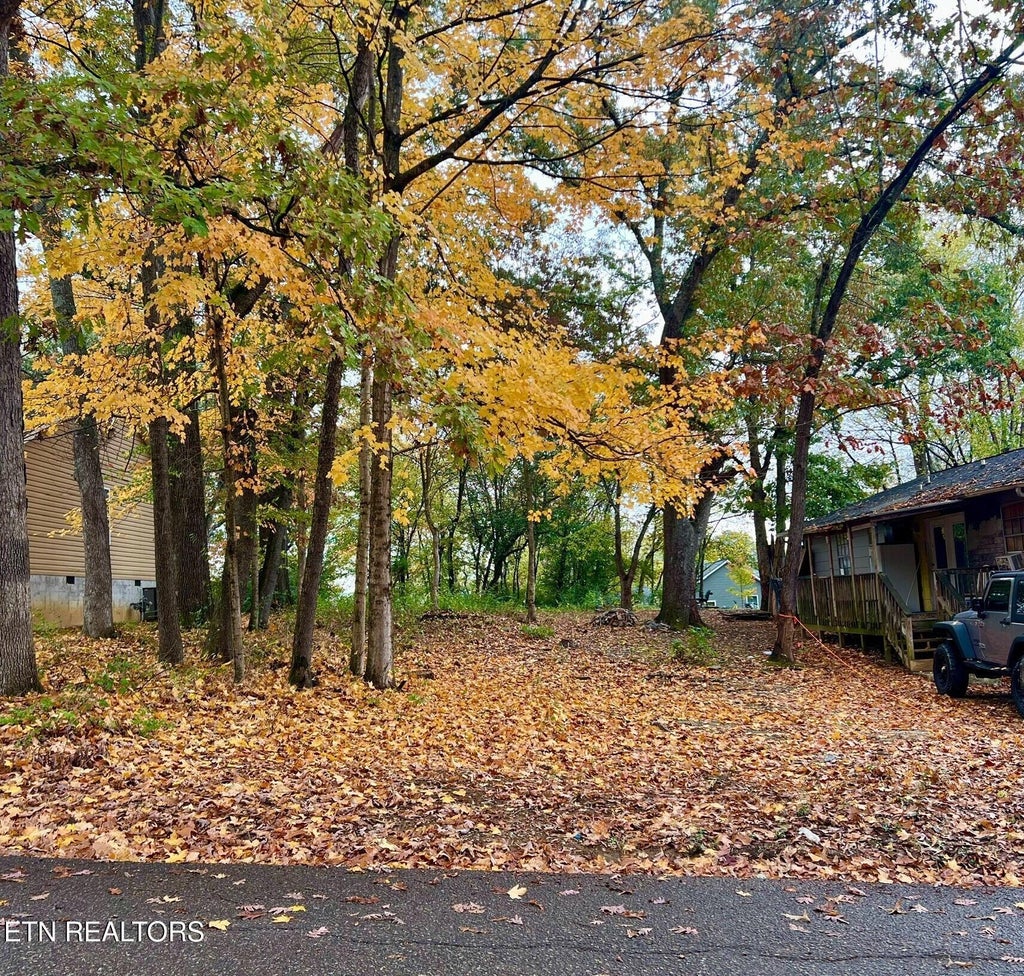Photo of 1208 Ohio Ave, Knoxville, TN 37921 (MLS # 1281408)