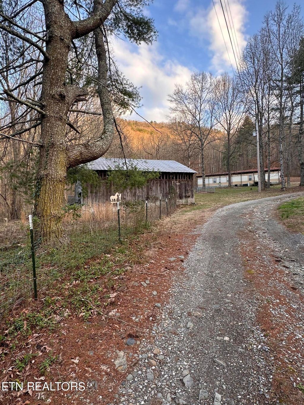 Photo of 4652 Nebo Rd, Walland, TN 37886 (MLS # 1254698)