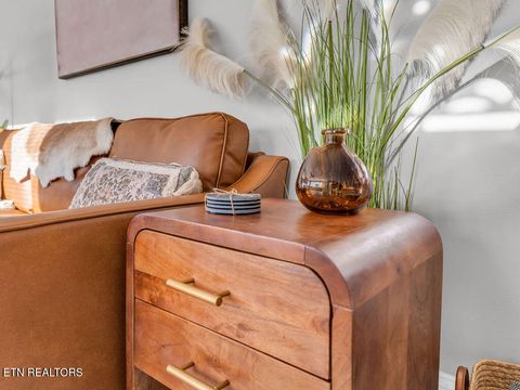 Tiny photo for 116 Holston Court, Knoxville, TN 37914 (MLS # 1323086)