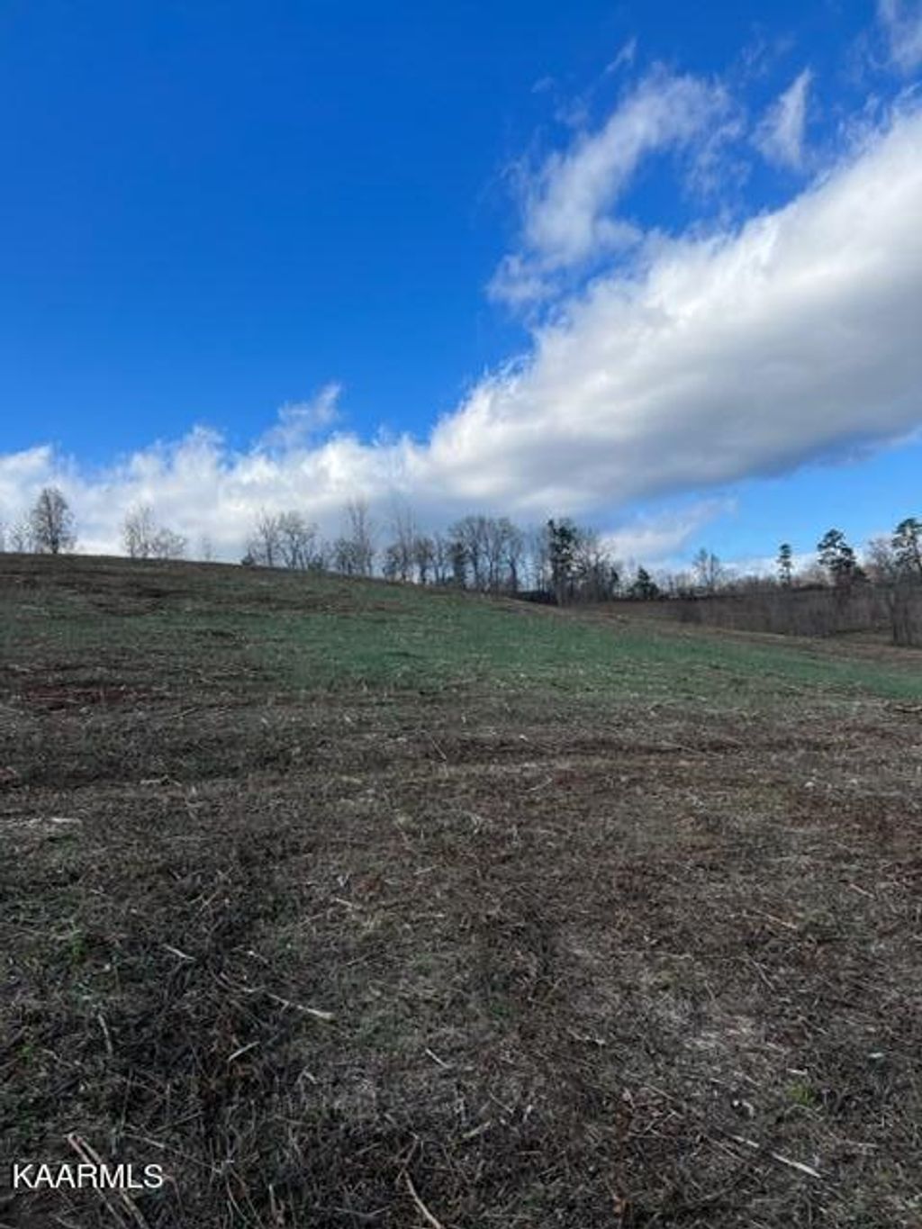 Photo of Nola Lane, New Tazewell, TN 37825 (MLS # 1212170)