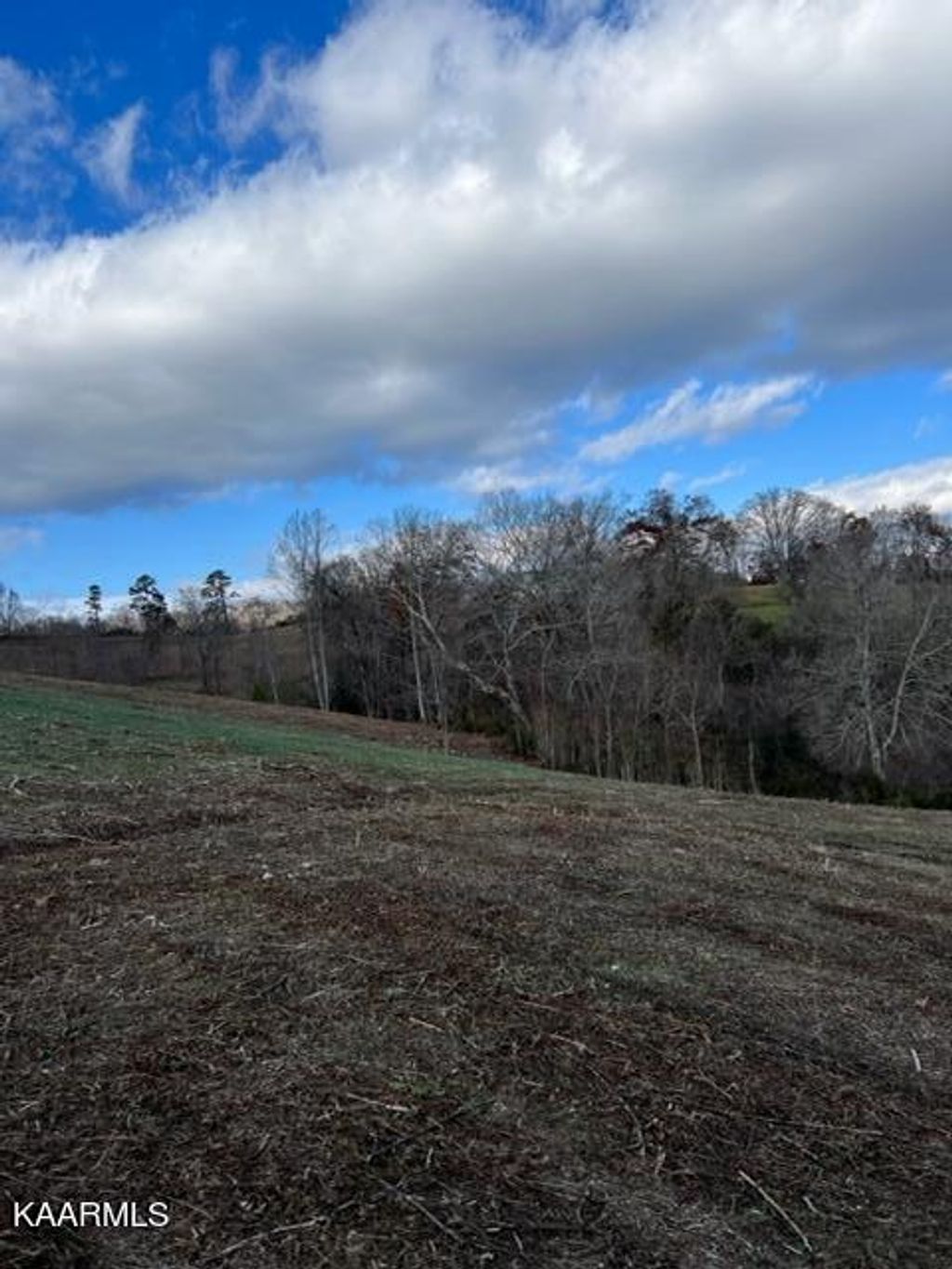 Photo of Nola Lane, New Tazewell, TN 37825 (MLS # 1212170)