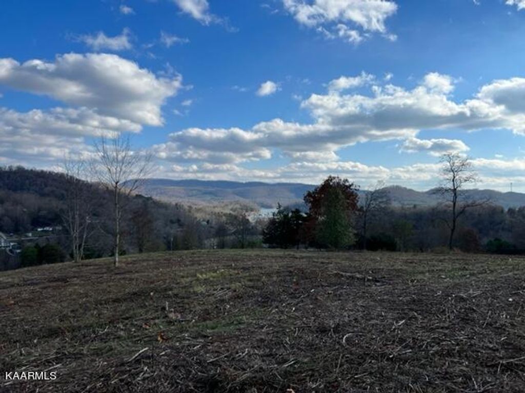 Photo of Nola Lane, New Tazewell, TN 37825 (MLS # 1212170)