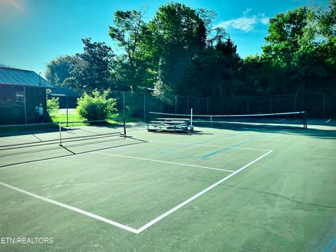 Tiny photo for 104 Highway 73, Townsend, TN 37882 (MLS # 1311720)