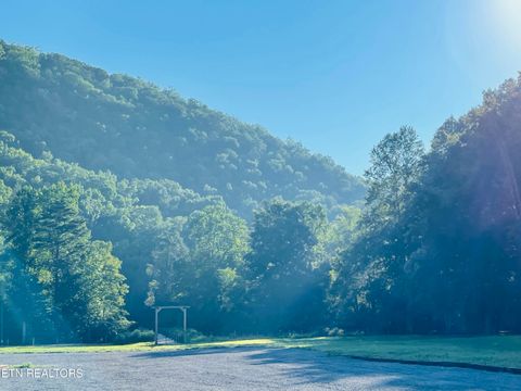 Tiny photo for 104 Highway 73, Townsend, TN 37882 (MLS # 1311720)