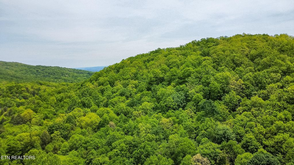 Photo of Short Moutain Rd, Sneedville, TN 37869 (MLS # 1340784)