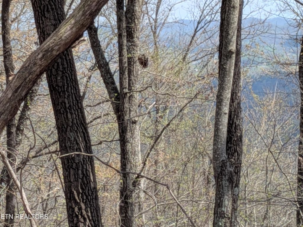 Photo of Short Moutain Rd, Sneedville, TN 37869 (MLS # 1340784)