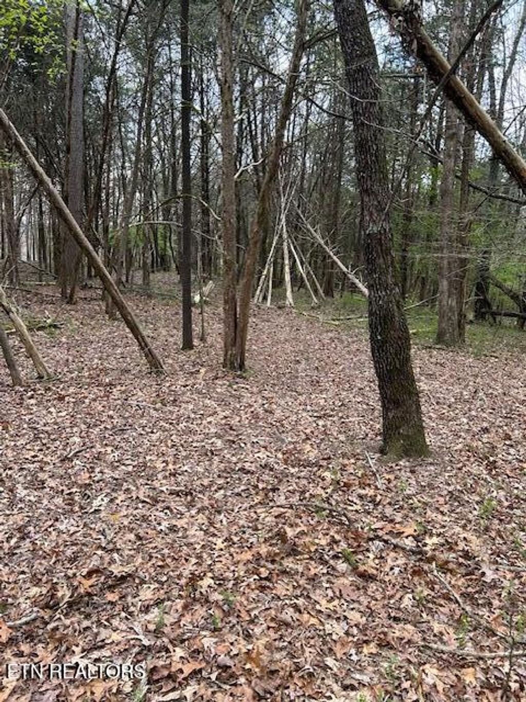 Photo of 000 Stephanie Lane, Athens, TN 37303 (MLS # 1299089)