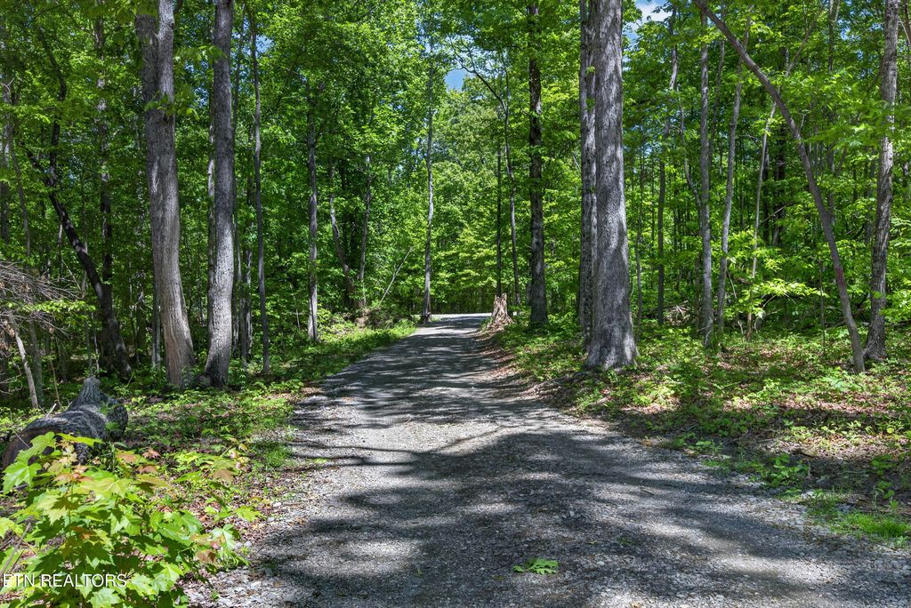 Photo of 55236 Maynard Ridge LN, Crawford, TN 38554 (MLS # 1340611)