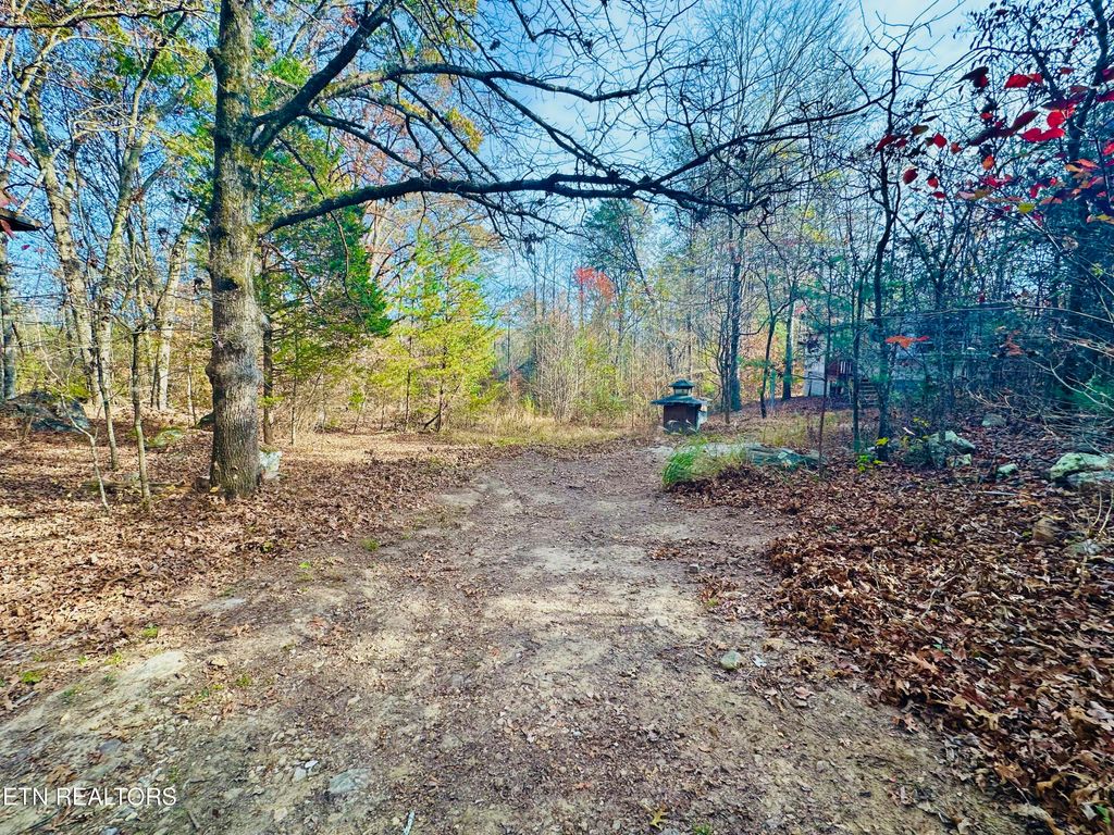 Photo of 888 Joppa Mountain Rd, Rutledge, TN 37861 (MLS # 1282731)