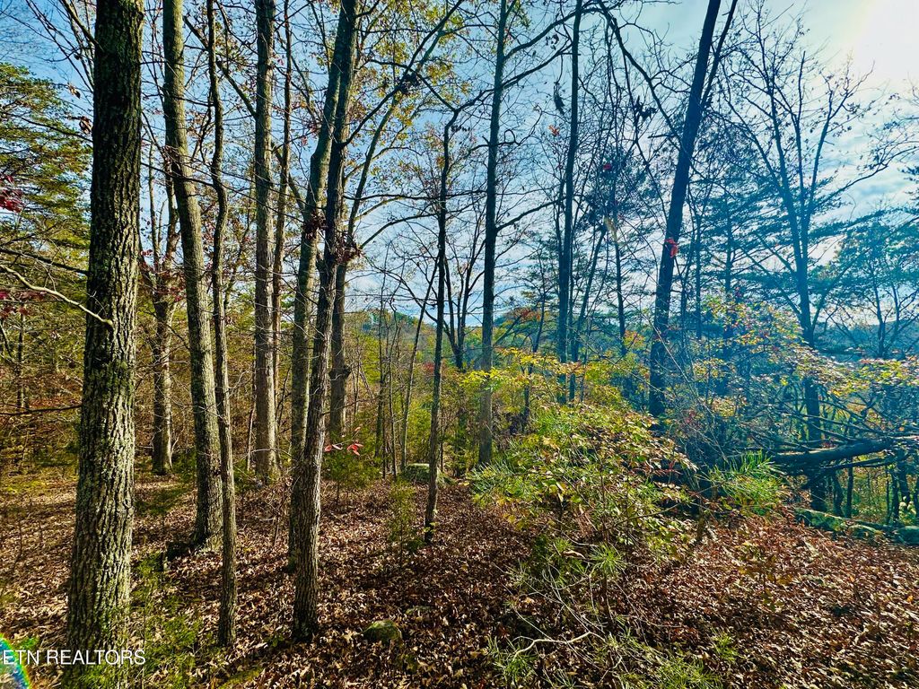 Photo of 888 Joppa Mountain Rd, Rutledge, TN 37861 (MLS # 1282731)