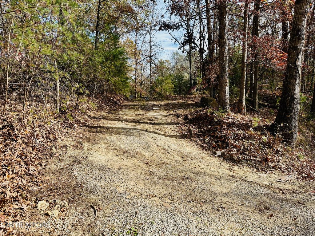 Photo of 888 Joppa Mountain Rd, Rutledge, TN 37861 (MLS # 1282731)