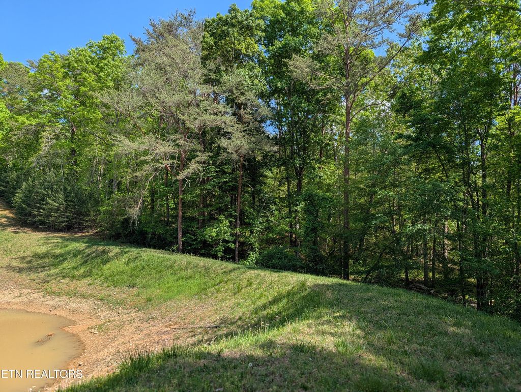 Photo of 135 Garren Hart Lane, Spring City, TN 37381 (MLS # 1337765)