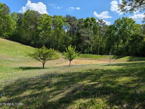 Tiny photo for 135 Garren Hart Lane, Spring City, TN 37381 (MLS # 1337765)