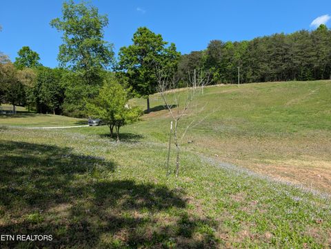 Tiny photo for 135 Garren Hart Lane, Spring City, TN 37381 (MLS # 1337765)