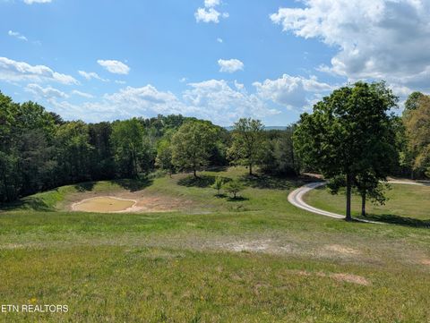 Photo of 135 Garren Hart Lane, Spring City, TN 37381 (MLS # 1337765)