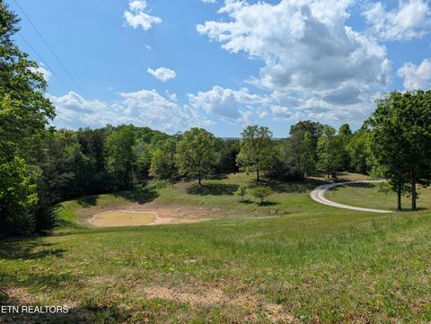 Tiny photo for 135 Garren Hart Lane, Spring City, TN 37381 (MLS # 1337765)