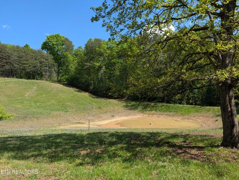 Tiny photo for 135 Garren Hart Lane, Spring City, TN 37381 (MLS # 1337765)